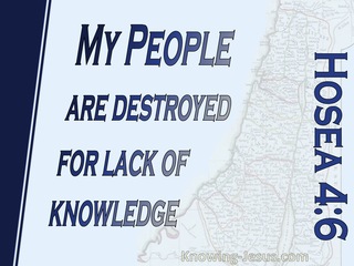 Hosea 4:6 My People Are Destroyed For Lack Of Knowledge (blue)